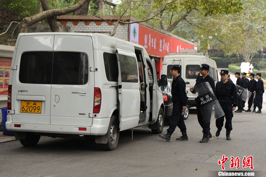 重慶動(dòng)物園兩頭獅子“越獄” 已被麻醉移至籠舍
