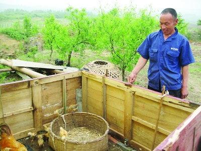 弟弟趙文富向記者介紹他們養(yǎng)雞的地方。