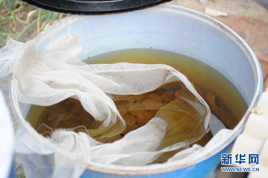 地下水成“綠茶”　污染二十多年該誰治？