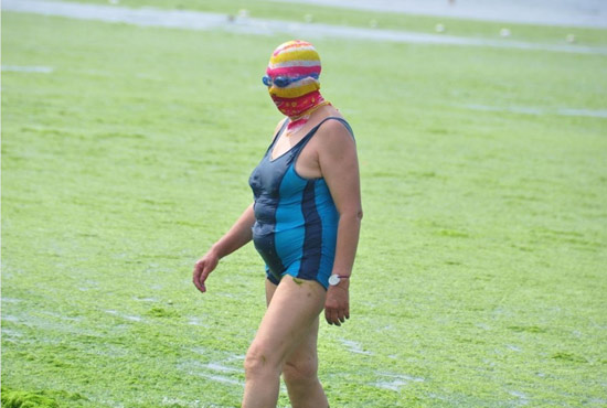 2013年7月3日，山東青島青島高溫來襲，“青島大媽”不懼滸苔，戴著“強(qiáng)盜面具”出現(xiàn)在海水浴場消暑降