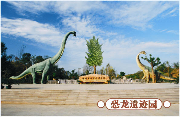 圣誕去哪兒？省內(nèi)歡樂地推薦