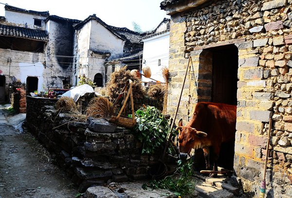 10大古村落，見證鶴壁舊時(shí)光