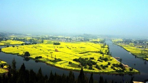 盤點(diǎn)全國(guó)13處絕美的油菜花觀賞地