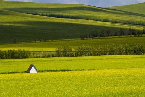盤點(diǎn)全國(guó)13處絕美的油菜花觀賞地