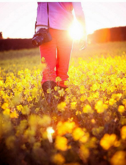 如何拍攝油菜花？達人教你7個拍攝技巧