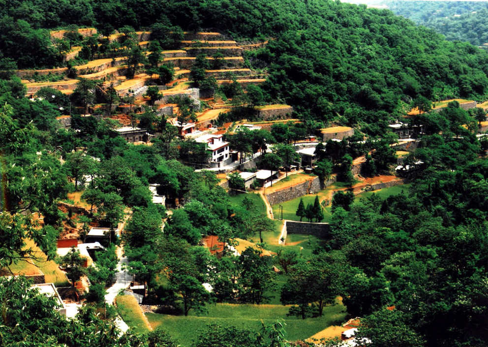 醉美楊樹(shù)溝 “三八”有“巨”惠