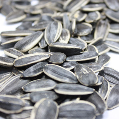 出國旅游海關檢查有講究 啥能帶啥不能帶？