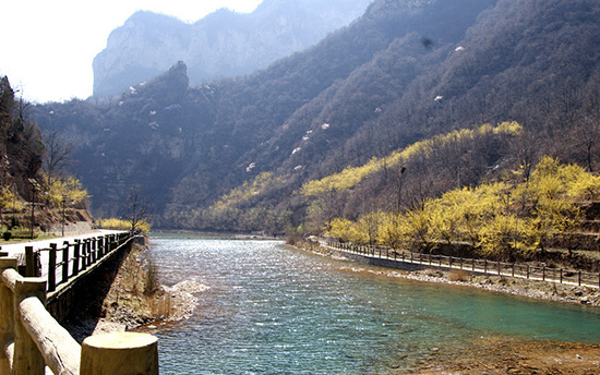 有一種呼喚，叫春天里的蟒河！