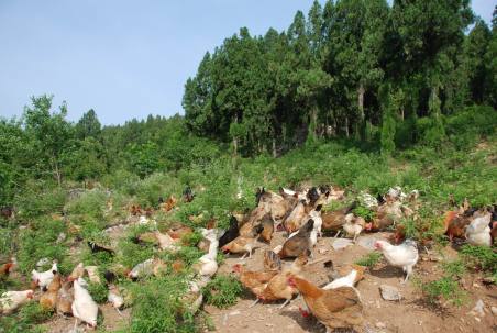 旅游真奇妙 這些事你知道嗎？