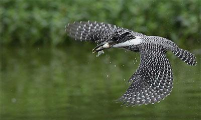 手把手教您玩轉(zhuǎn)信陽(yáng)十大美景 手把手教您玩轉(zhuǎn)信陽(yáng)十大美景