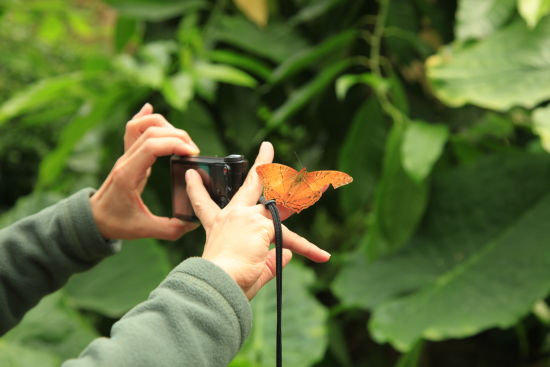 暖春四月來螢火蟲水洞 與螢火蟲來一場(chǎng)美麗的邂逅 暖春四月來螢火蟲水洞 與螢火蟲來一場(chǎng)美麗的邂逅