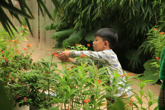 暖春四月來螢火蟲水洞 與螢火蟲來一場(chǎng)美麗的邂逅 暖春四月來螢火蟲水洞 與螢火蟲來一場(chǎng)美麗的邂逅