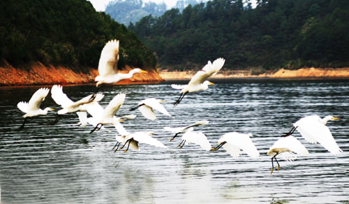 考完去哪兒？千島湖中、高考生門票大優(yōu)惠！