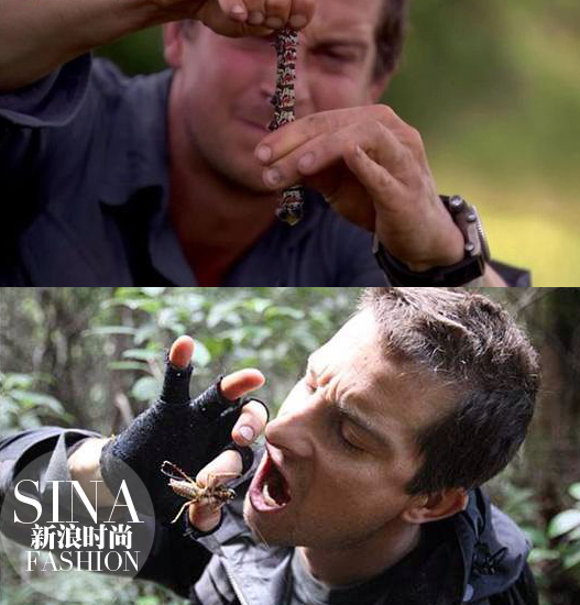 昆蟲(chóng)經(jīng)常吃