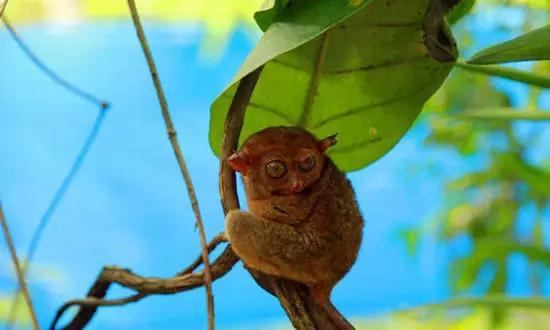 適合在冬天旅游的十個絕美海島！