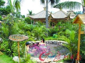 溫泉區(qū)樹木蔥蔥。