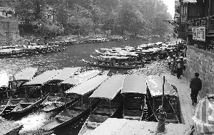 　　4月17日,鳳凰古城江邊,游船沒有生意,都?？吭诎哆? width=