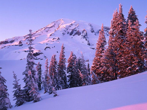 華盛頓，雷尼爾山