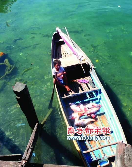 漁船上的孩子。