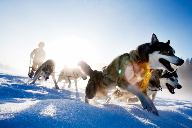 冬季貝加爾,適合享受冰上運(yùn)動(dòng),狗拉雪橇、雪上摩托車(chē)、雪地徒步等都是不錯(cuò)的選擇 F5.6,1/115秒