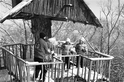 　　clubmed里有來(lái)自國(guó)外的滑雪教練教兒童滑雪。　