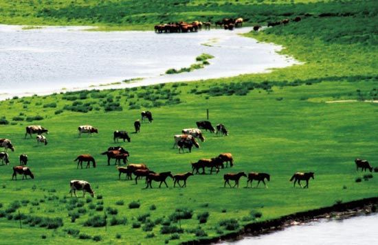 　　處處翠色欲流,馬兒自然入畫。　