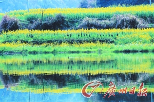 　　江嶺梯田落差不大,但有花有水。