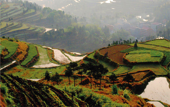 　　茗岙的盤(pán)山公路