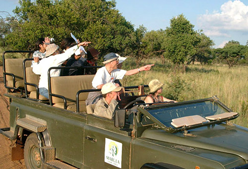 探索南非野性之美 太陽(yáng)城帝王般享受 探索南非野性之美 太陽(yáng)城帝王般享受