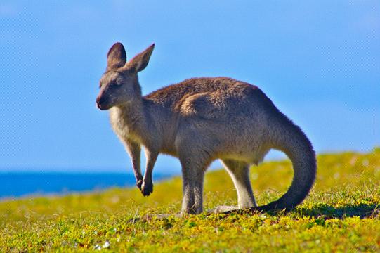 全家出國游去哪里？推薦十佳旅游勝地
