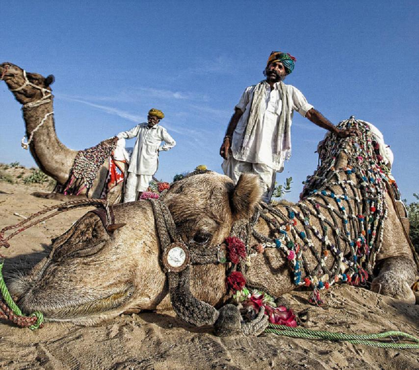 全家出國游去哪里？推薦十佳旅游勝地