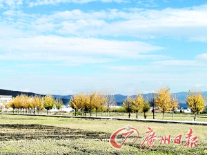 　　大理洱海湖畔美麗的鄉(xiāng)村景色。