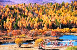 　　呼倫貝爾秋色。