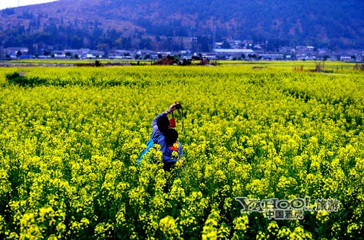 　　不論從人文氣息還是田園自然風(fēng)光,都值得我們停靠。(圖片來源:CFP)