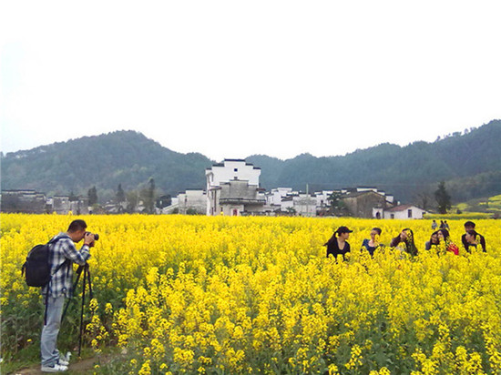 婺源清明節(jié)三天自由行 婺源清明節(jié)三天自由行