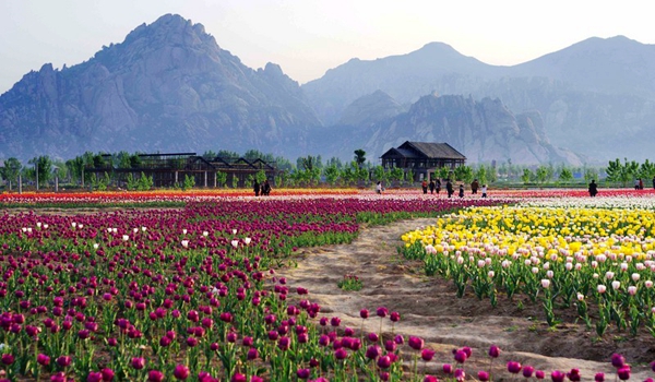 別樣蜜月，河南最適宜新婚度假的景區(qū)