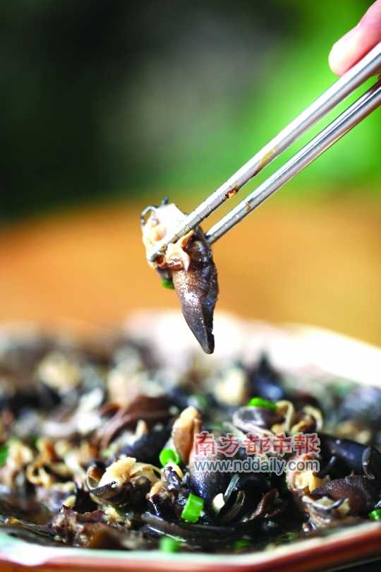 蒜蓉粉絲蒸蝸牛。