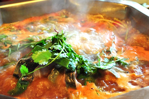 爽爽貴陽(yáng)吸引吃貨小分隊(duì) 爽爽貴陽(yáng)吸引吃貨小分隊(duì)