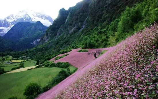 云南的另一個(gè)天堂 我約你一起去！