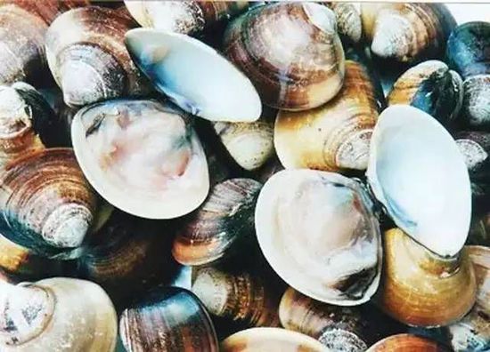 秋季最適合吃的海鮮是這10種 你吃對(duì)了嗎？