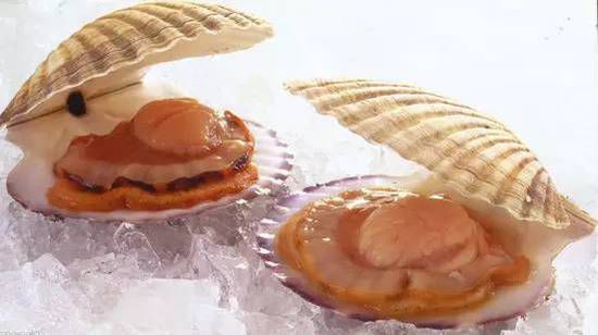 秋季最適合吃的海鮮是這10種 你吃對(duì)了嗎？