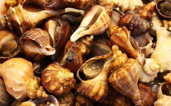 秋季最適合吃的海鮮是這10種 你吃對(duì)了嗎？