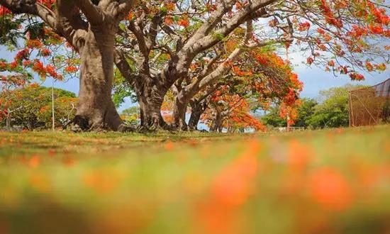 適合在冬天旅游的十個(gè)絕美海島！