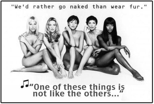 時(shí)尚圈第一組群模抗議皮草大片