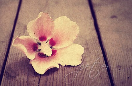 箬耶一周星座運(yùn)勢播報(bào)2013.11.18-11.24