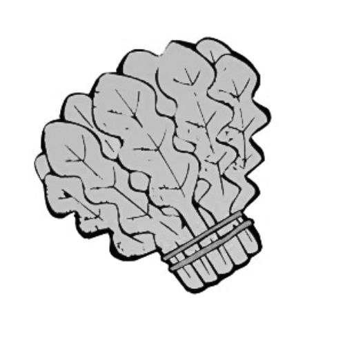 雪后菜價瘋漲15倍？沒恁夸張 元旦豬肉雞蛋或漲價