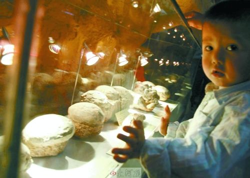 恐龍蛋，這回見(jiàn)識(shí)了吧！