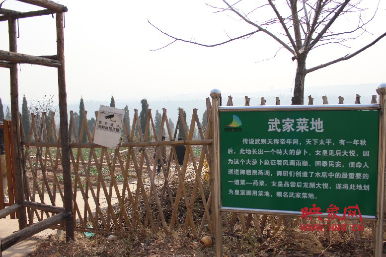 武家菜地就是這，據(jù)說里面有個(gè)特大的蘿卜