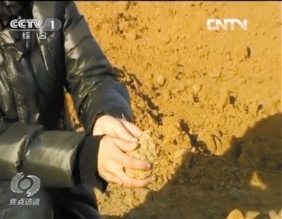 麻剛沙系麻剛石粉碎而成。記者找到一塊麻剛石，一捏就碎成粉末，硬度非常差。央視截圖