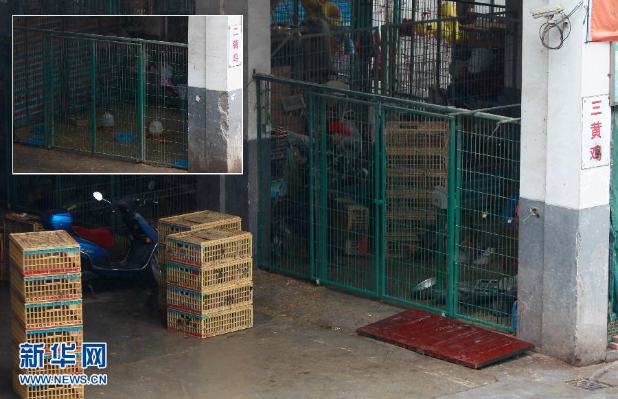 上海6日起暫?；钋萁灰?關閉所有活禽交易市場